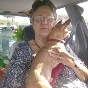 Meet your Posher, Sally